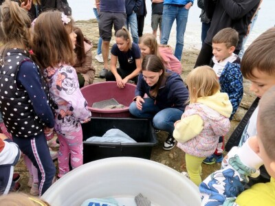 Čiko, Maya i Alen nakon rehabilitacije vraćeni u more