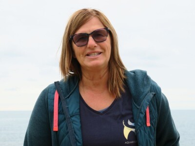 Čiko, Maya i Alen nakon rehabilitacije vraćeni u more