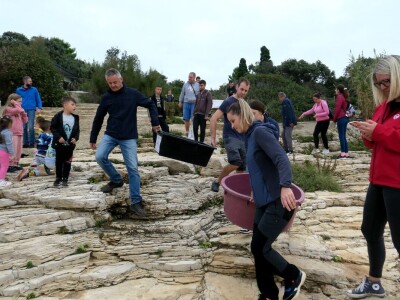 Čiko, Maya i Alen nakon rehabilitacije vraćeni u more