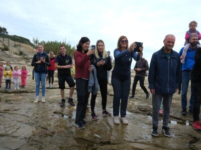 Čiko, Maya i Alen nakon rehabilitacije vraćeni u more