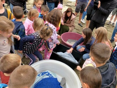 Čiko, Maya i Alen nakon rehabilitacije vraćeni u more
