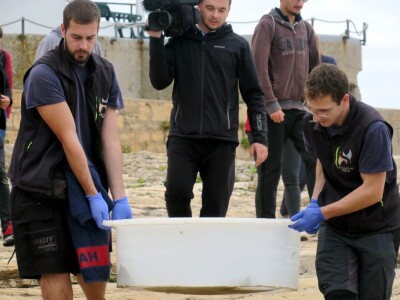 Čiko, Maya i Alen nakon rehabilitacije vraćeni u more