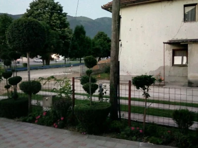 Čila Zorad: Posebno uživa u oblikovanju živih ograda i drveća, a izrađuje i razne vrste cvijetnih aranžmana
