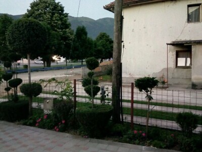 Čila Zorad: Posebno uživa u oblikovanju živih ograda i drveća, a izrađuje i razne vrste cvijetnih aranžmana