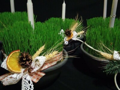 Čila Zorad: Posebno uživa u oblikovanju živih ograda i drveća, a izrađuje i razne vrste cvijetnih aranžmana