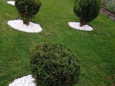 Čila Zorad: Posebno uživa u oblikovanju živih ograda i drveća, a izrađuje i razne vrste cvijetnih aranžmana