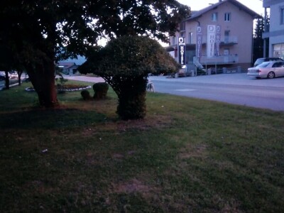 Čila Zorad: Posebno uživa u oblikovanju živih ograda i drveća, a izrađuje i razne vrste cvijetnih aranžmana