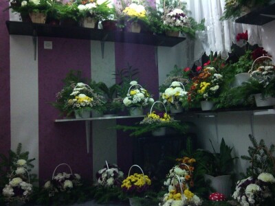 Čila Zorad: Posebno uživa u oblikovanju živih ograda i drveća, a izrađuje i razne vrste cvijetnih aranžmana