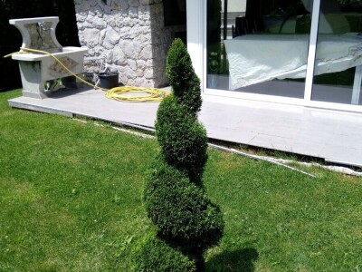 Čila Zorad: Posebno uživa u oblikovanju živih ograda i drveća, a izrađuje i razne vrste cvijetnih aranžmana