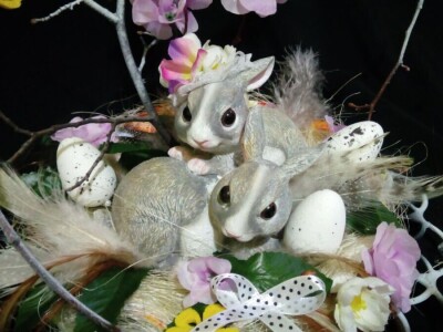 Čila Zorad: Posebno uživa u oblikovanju živih ograda i drveća, a izrađuje i razne vrste cvijetnih aranžmana