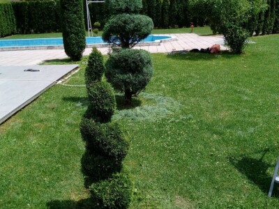 Čila Zorad: Posebno uživa u oblikovanju živih ograda i drveća, a izrađuje i razne vrste cvijetnih aranžmana