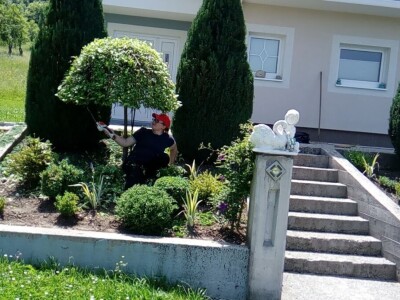 Čila Zorad: Posebno uživa u oblikovanju živih ograda i drveća, a izrađuje i razne vrste cvijetnih aranžmana