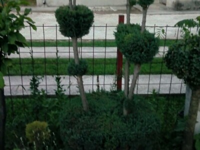 Čila Zorad: Posebno uživa u oblikovanju živih ograda i drveća, a izrađuje i razne vrste cvijetnih aranžmana