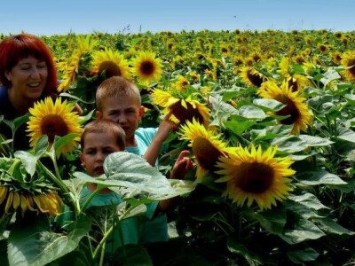 Ćiro Slow Food Ćiro Slow Food