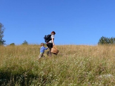 Ćiro Slow Food Ćiro Slow Food