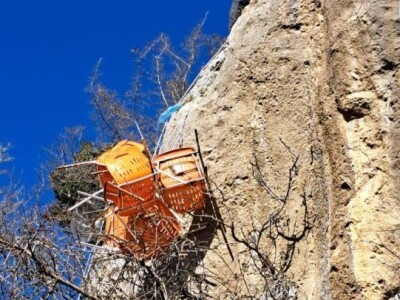 Čišćenje kanjona Cetine