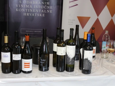 Čista vina - vina bez kompromisa