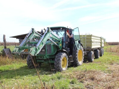 Citadela Vardarac Baranja