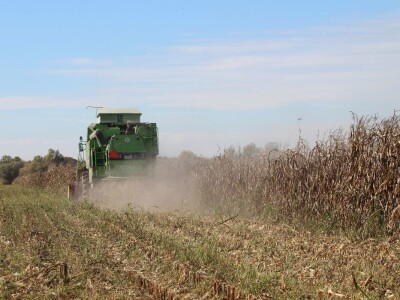 Citadela Vardarac Baranja