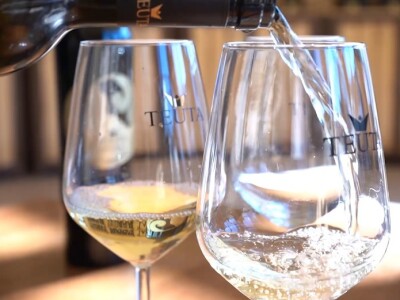 Broćanska žila(vka) kucavica - za smijeh i grijeh