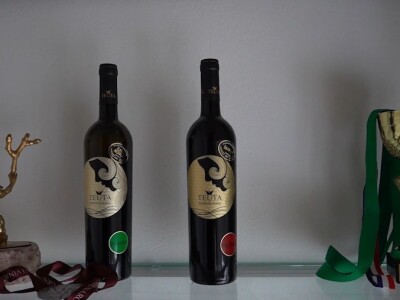 Broćanska žila(vka) kucavica - za smijeh i grijeh