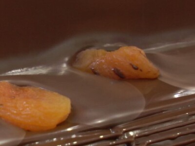 Čokoladirana šljiva porodice Simić