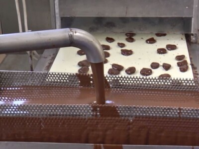 Čokoladirana šljiva porodice Simić