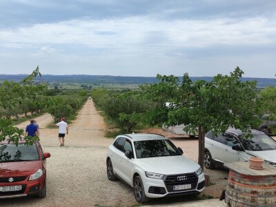 COLIC - TRADE:  Colićeve lovke za štetnike: Platiš 30 dobiješ 263 eura!