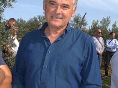 COLIĆ TRADE (2) : U Colićevom Gaju i polikonična vaza kumovala obilatom urodu maslina