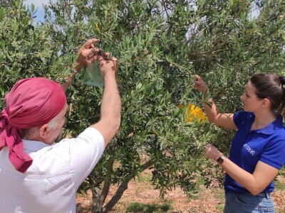 COLIC - TRADE:  Colićeve lovke za štetnike: Platiš 30 dobiješ 263 eura!
