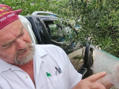 COLIC - TRADE:  Colićeve lovke za štetnike: Platiš 30 dobiješ 263 eura!