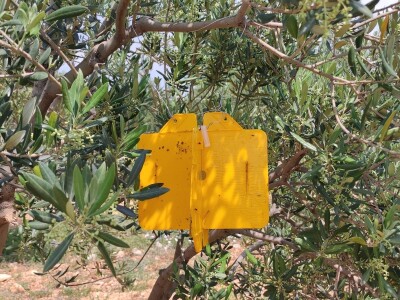 COLIC - TRADE:  Colićeve lovke za štetnike: Platiš 30 dobiješ 263 eura!