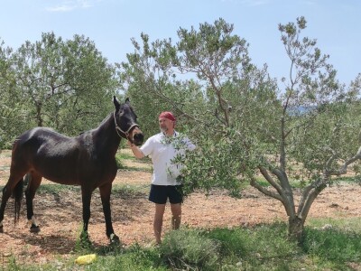 COLIC - TRADE:  Colićeve lovke za štetnike: Platiš 30 dobiješ 263 eura!