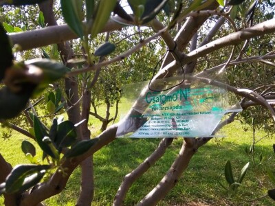 COLIC - TRADE:  Colićeve lovke za štetnike: Platiš 30 dobiješ 263 eura!