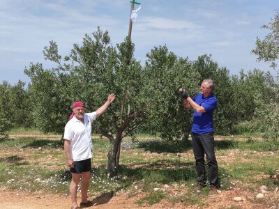 COLIC - TRADE:  Colićeve lovke za štetnike: Platiš 30 dobiješ 263 eura!