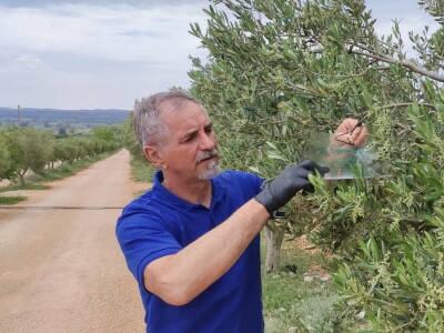 COLIC - TRADE:  Colićeve lovke za štetnike: Platiš 30 dobiješ 263 eura!