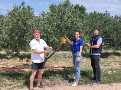 COLIC - TRADE:  Colićeve lovke za štetnike: Platiš 30 dobiješ 263 eura!