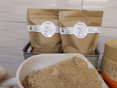 COLIC - TRADE I OPG IVA BULIĆ - Navodnjavani "kraljevi krša" u Korlatu izrastaju u careve