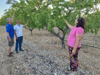 COLIC - TRADE I OPG IVA BULIĆ - Navodnjavani "kraljevi krša" u Korlatu izrastaju u careve