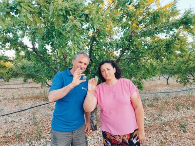 COLIC - TRADE I OPG IVA BULIĆ - Navodnjavani "kraljevi krša" u Korlatu izrastaju u careve