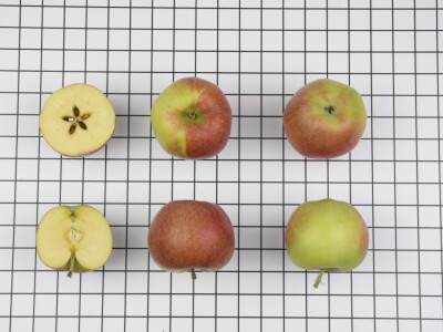 AppleResist - završni rezultati