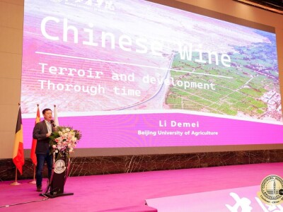 Concours Mondial de Bruxellesa