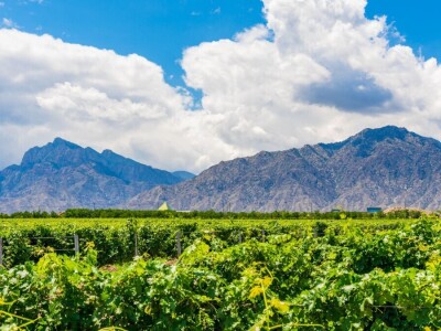 Concours Mondial de Bruxellesa