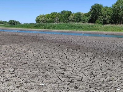 Čonopljansko jezero - pomor ribe
