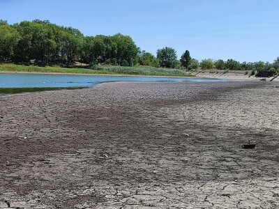 Čonopljansko jezero - pomor ribe
