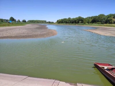 Čonopljansko jezero - pomor ribe