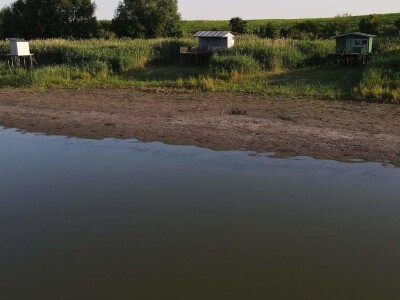 Čonopljansko jezero - pomor ribe