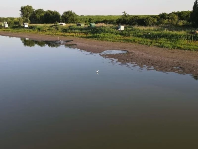 Čonopljansko jezero - pomor ribe