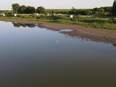 Čonopljansko jezero - pomor ribe