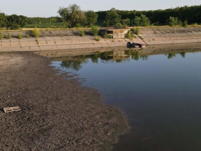 Čonopljansko jezero - pomor ribe